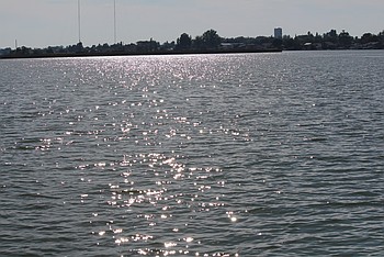 Lead