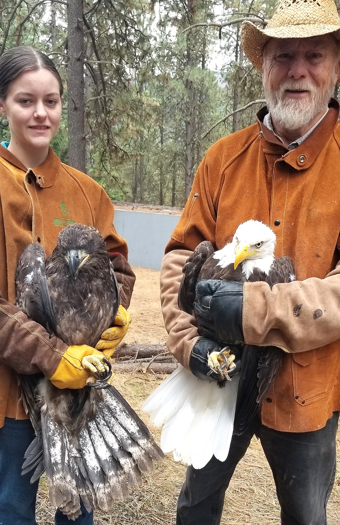 Victoria Barnes and Don Veltkamp hold two bald eagles that were rehabbed by Birds of Prey Northwest and released in Sagle on Tuesday.