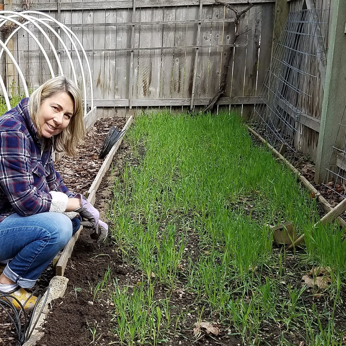Courtesy of Candace Goodwin. 
Planting a cover crop in the fall helps enrich the soil and provides a living mulch for the winter.