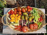 Closing time in the garden: September tasks to do now