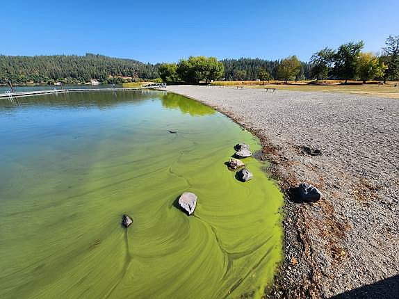 Health advisory issued for Hauser Lake