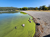 Health advisory issued for Hauser Lake