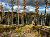 Star Meadows conservation easement preserves land, family legacy