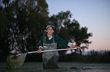 The Mission Valley's invasive chorus of American Bullfrogs