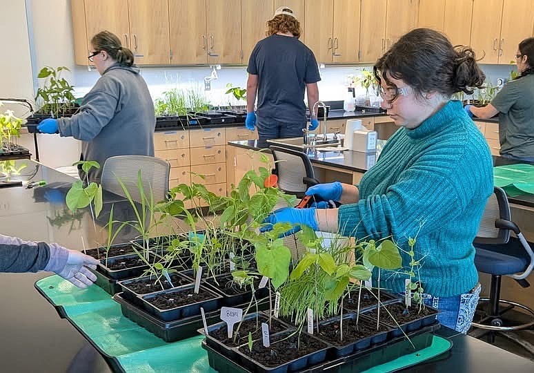 Students of BBCC’s Agriculture program run tests on various plants during one of their classes. The seed donation by Williamson Farms will allow for students at the college to extend the number of projects they can work on in the program.