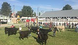 4-H helps students plan – and finance – their futures
