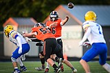 Diamond in the Turf