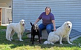 From lone wolf to beloved pack member, Baldone thrives seven months later