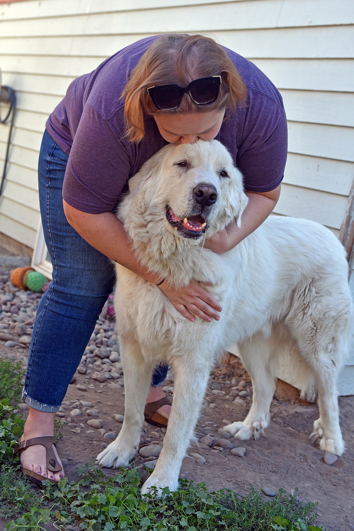 Baldone happily accepts a smooch from Christina James on his massive head. (Julie Engler/Whitefish Pilot)