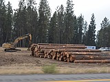 Trees come down for I-90 work