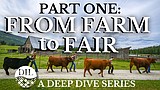 From Farm to Fair: The Brist family's livestock journey