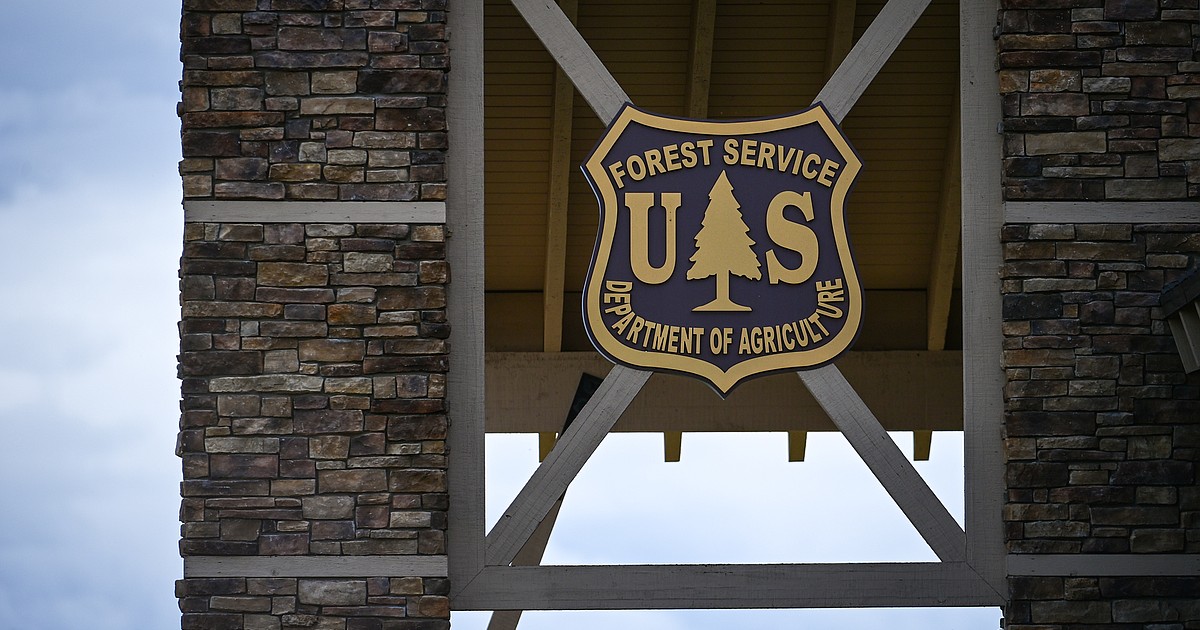 Forest Service clears timber project near Blacktail Mountain