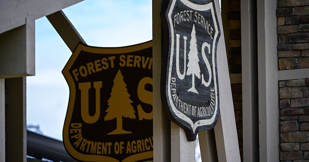 Feds prime national forests in Montana and Idaho for salvage sales