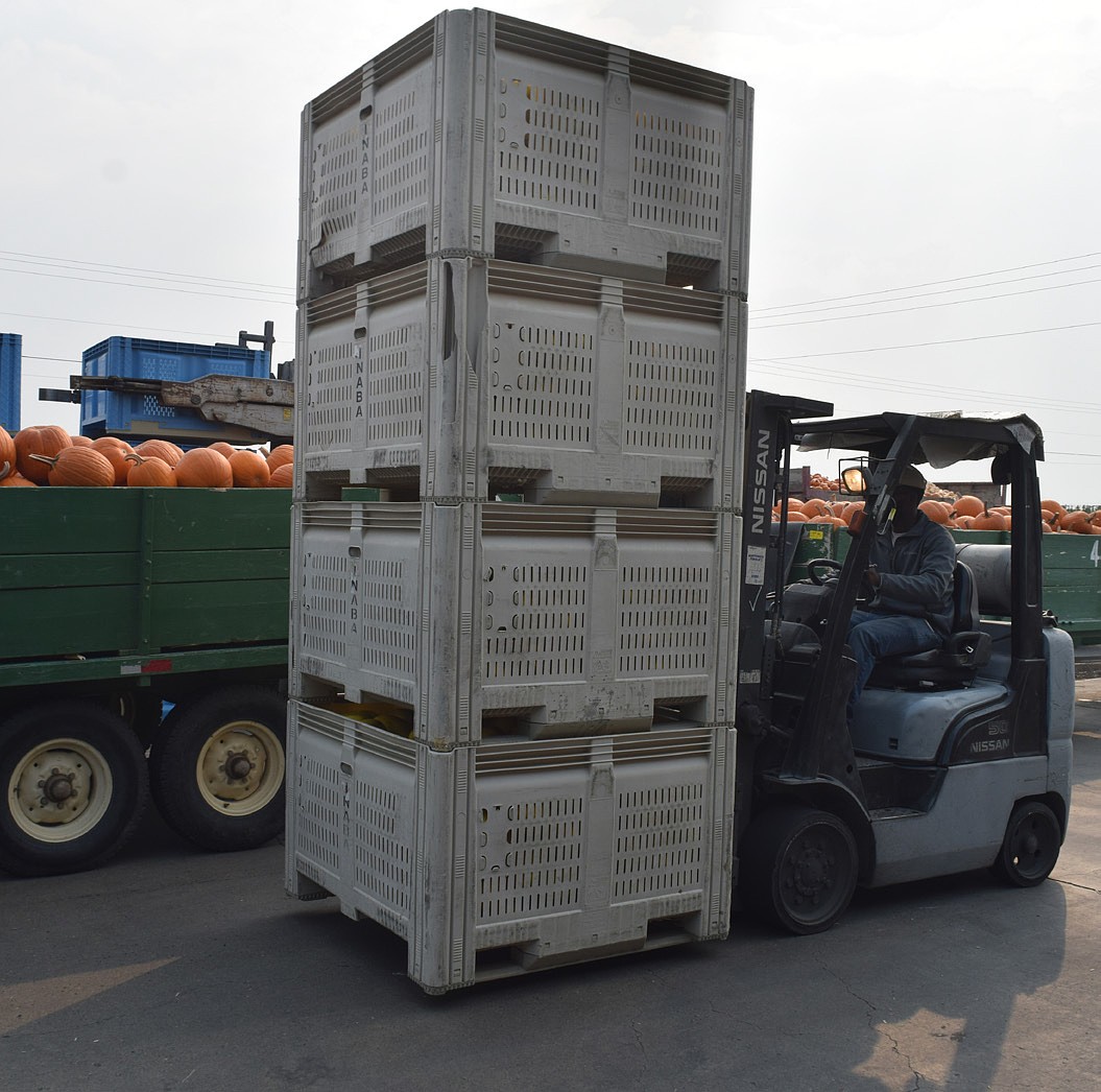 A Yakama Nation Farms employee drives a forklift full of produce. Interim General Manager Jonalee Squeochs said they are a majority BIPOC-managed and -operated facility.
