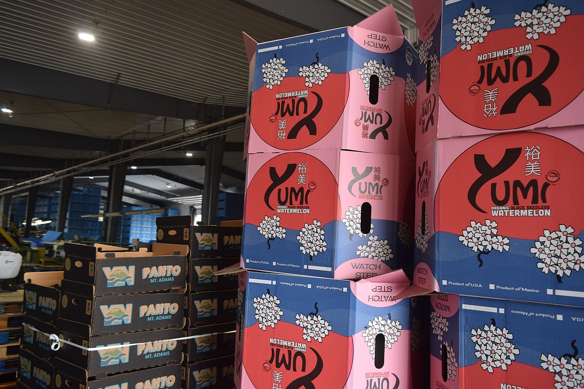Yumi Watermelon was branded by the former owners, highlighting their Japanese culture.