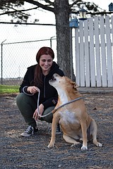 Long-term GCAO residents still hope for homes