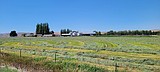 Hay harvest faces challenges in Washington amidst weather woes and market stagnation
