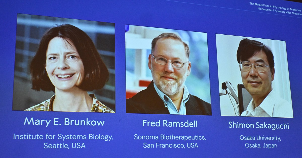 Trio win Nobel Prize for key immune system discoveries