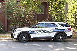 Accident on Larch Street injures woman, two dogs