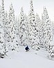 Schweitzer unveils new winter adventures
