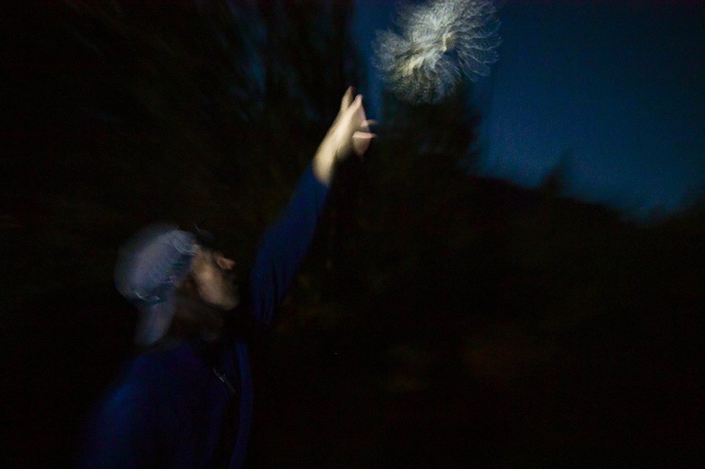 1012_LOC_DIL_saw_whet_owl_banding-8.jpg.