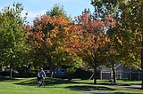 Falling into season