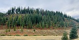 Shoshone County secures additional fire mitigation funding