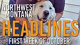 Headlines: A loyal dog's journey, accessibility at Flathead Lake, and library fundraiser a success