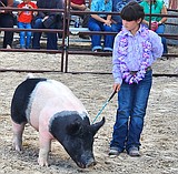 4-Hers enumerate reasons to join 4-H
