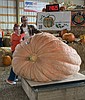 Giant pumpkins and a big comeback for local grower