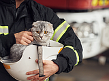 PET TALK Setting your home up for success: Small animal owner fire awareness