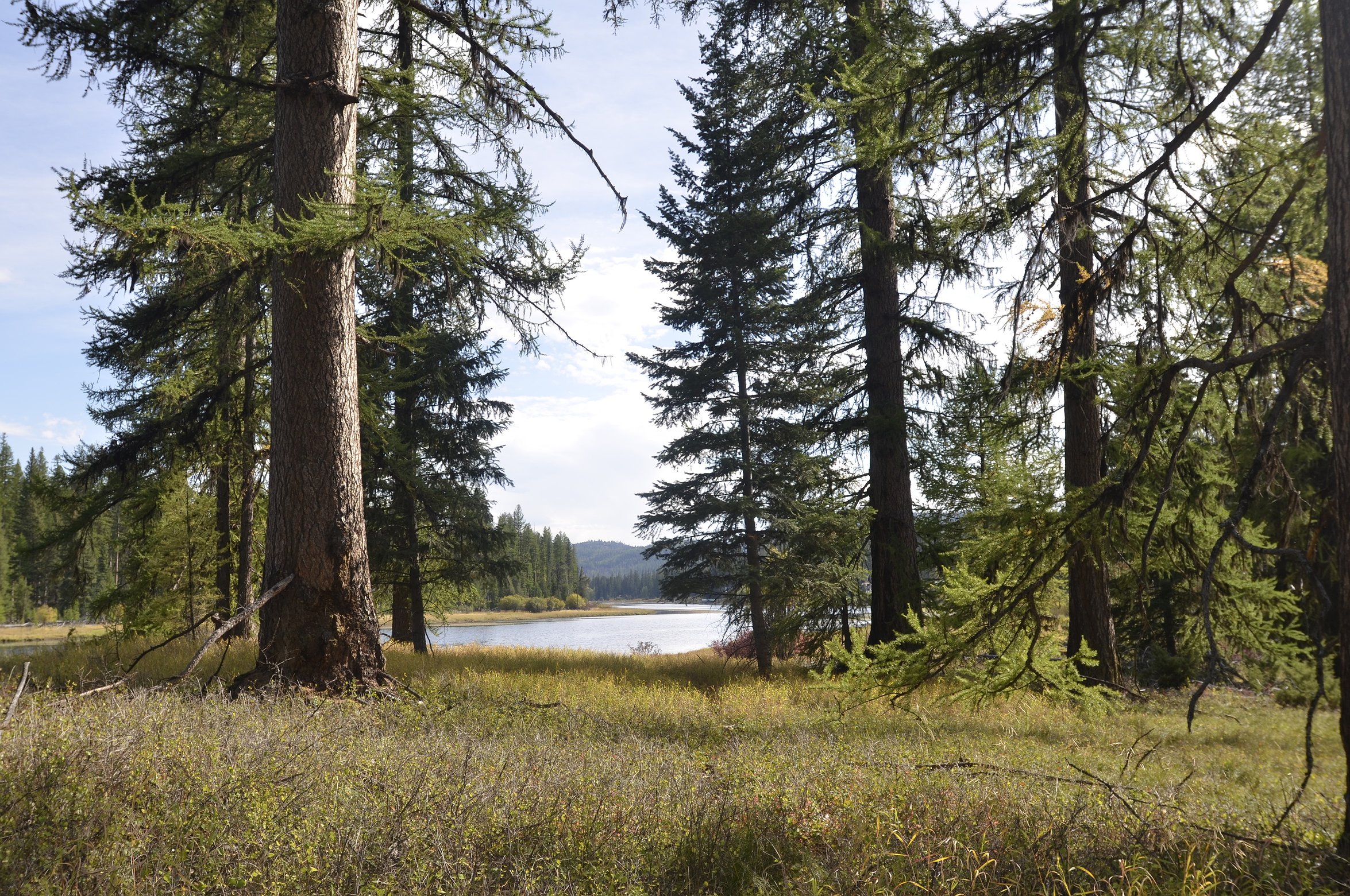 riverview.JPG.2350x1561_q85_box-0%2C0%2C