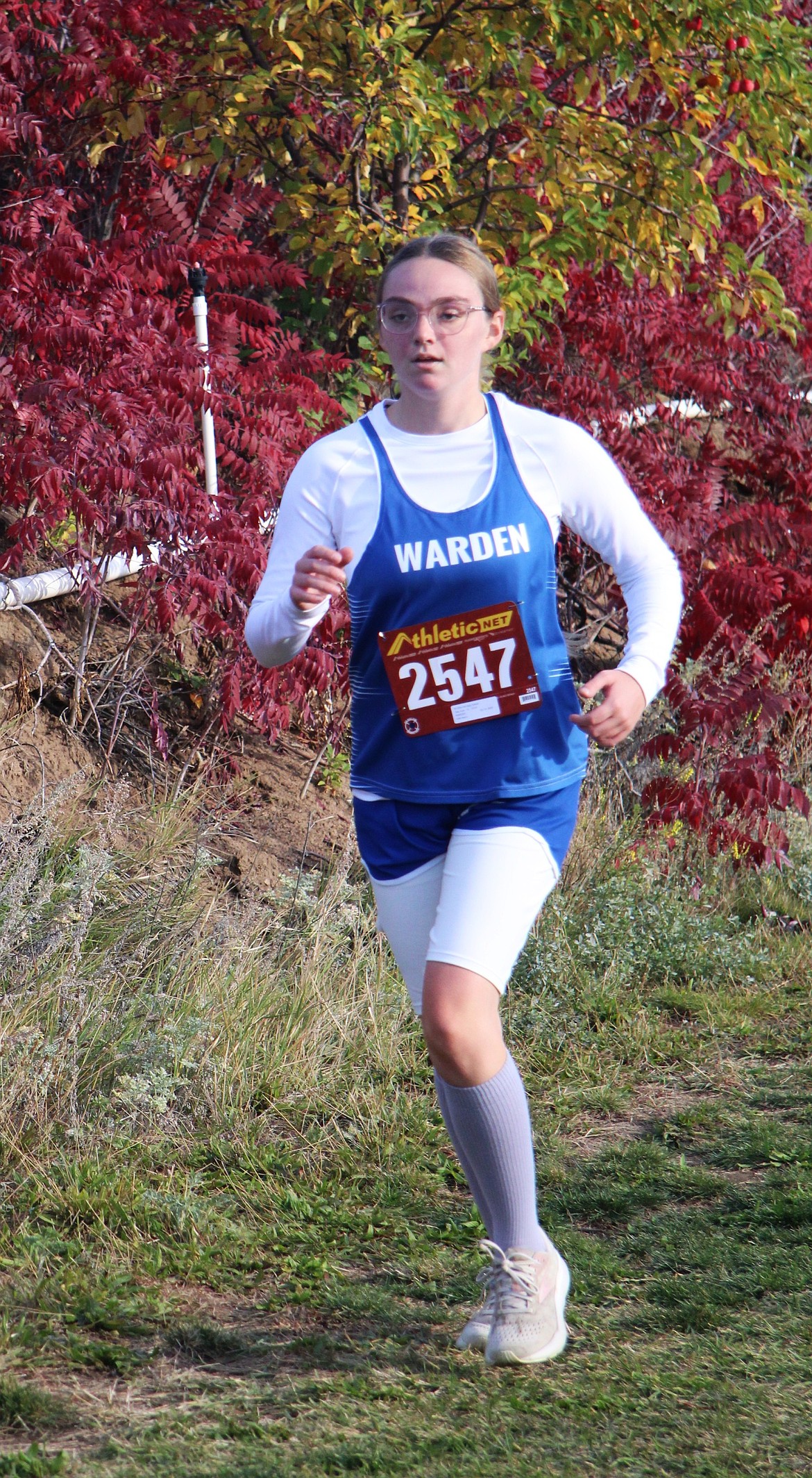Cougars runner Kyla Tate runs along a row of trees at the Apple Ridge XC course. Tate finished the meet with a time of 30:48.97 in the three-mile.