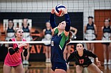 Glacier spikers gaining momentum