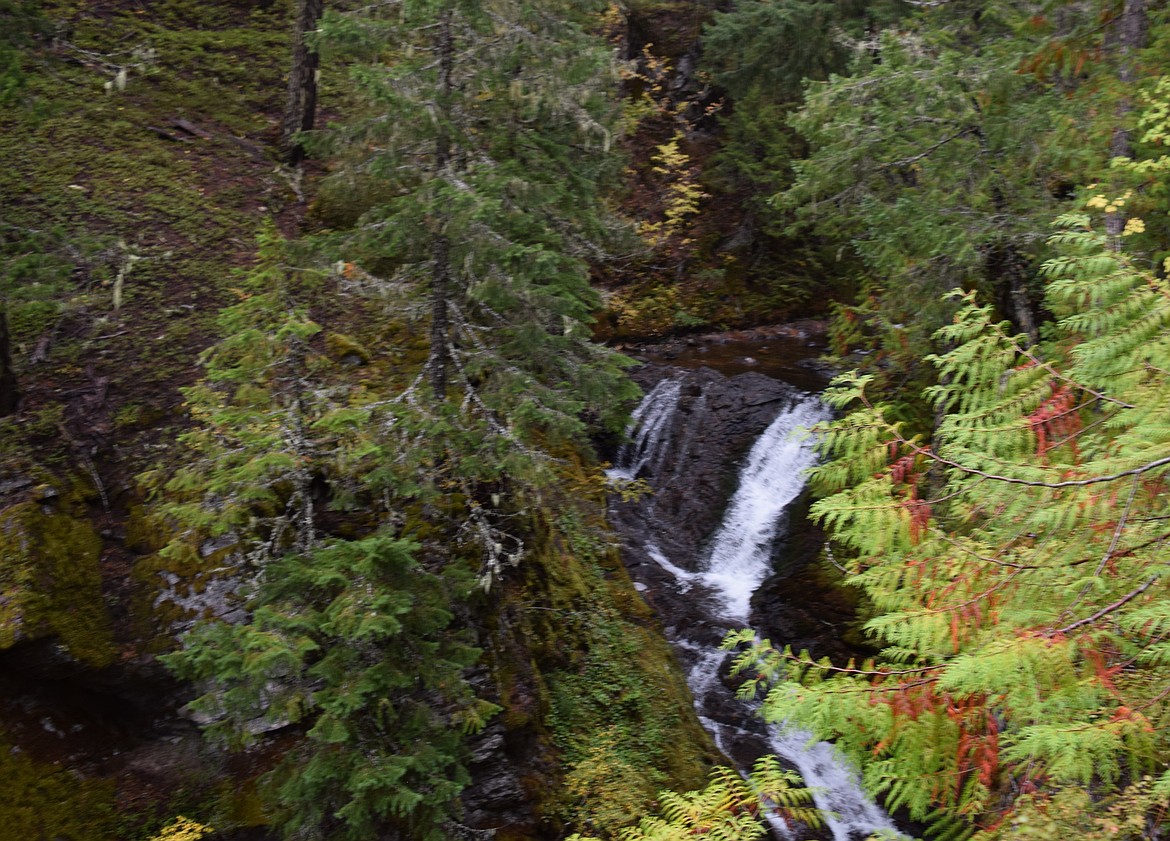 Upper Summit Creek Falls splashes on a cold, rainy day in the Cascades on Oct. 11. The falls are located two and a half hours away from Ephrata, about 15 minutes from Packwood, and are a short, 30-meter or so, hike off the roadway for those who want to visit. This week’s weather looks to be cool with rain possible toward the end of the week.