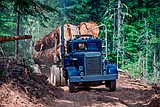 TIM An investment in the land: Reforestation critical to timber industry