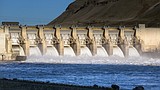 Renewed legal battle ramps up over Columbia Basin dams and salmon