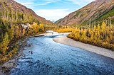 Study: Fishing a billion-plus industry
