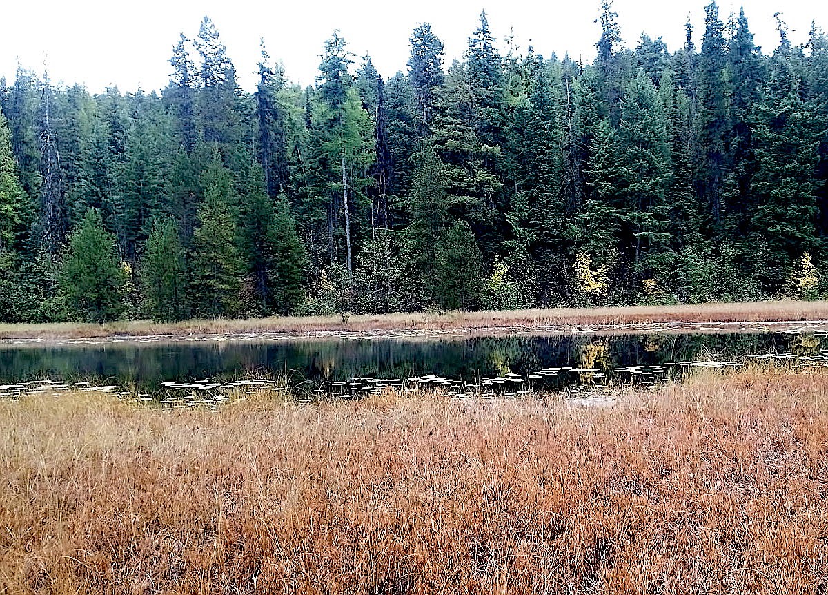 Stimson ready to cement legacy with FWP conservation easement