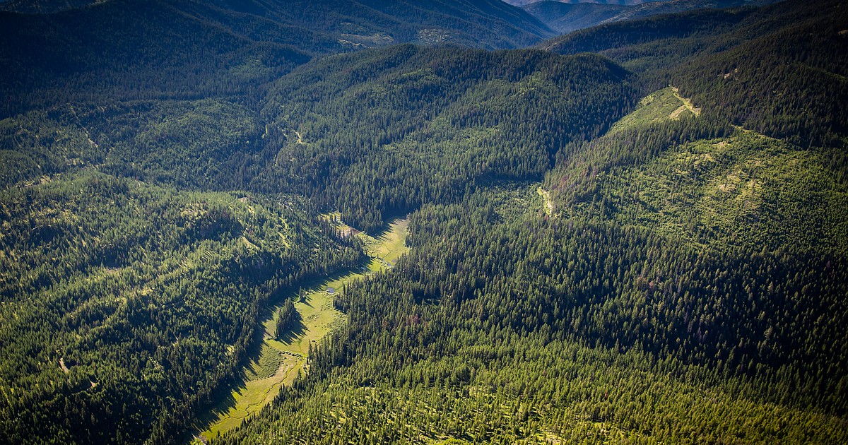 Montana Land Board adds more than 53K acres to conservation easement