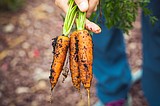 Vegetable conference coming Nov. 19-20