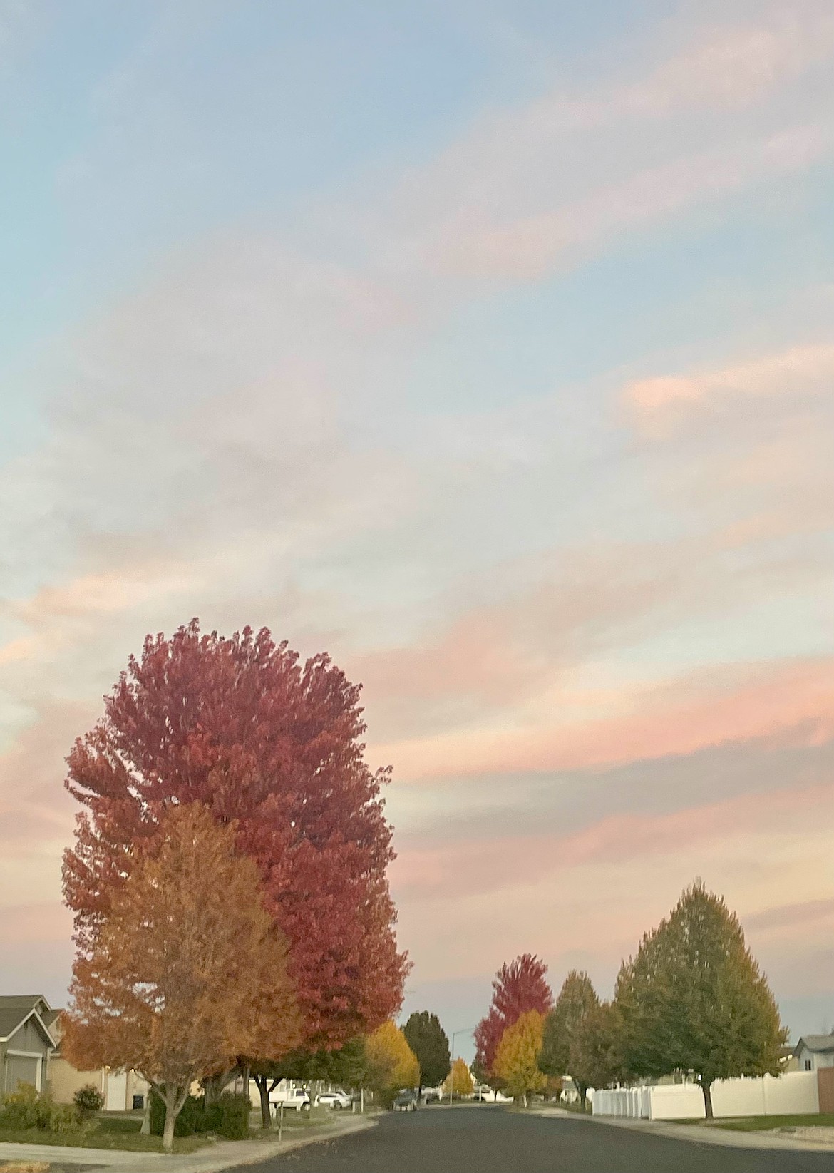 Fall foliage shows off on East Linden Avenue in Moses Lake Friday afternoon. While blue skies with some clouds may show up throughout the week, readers may want to be prepared for cooler temperatures and drizzly driving.