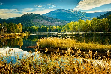 Fall colors surround the Coeur d'Alene River at Cataldo.