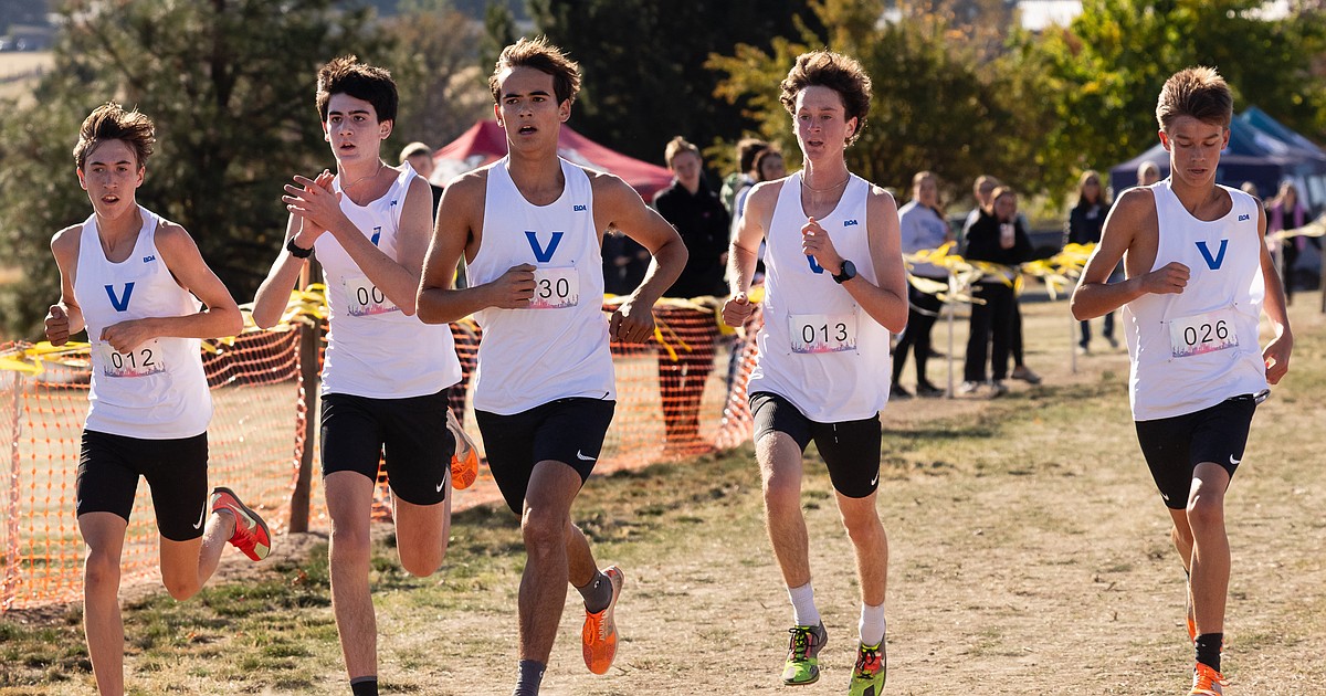 STATE CROSS COUNTRY CHAMPIONSHIPS: Building to a bigger goal ... Viking boys lose Division I athletes, keep running toward third straight state title