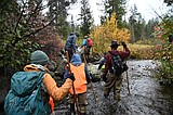 Damming evidence: Citizen scientists track beavers through Lolo National Forest