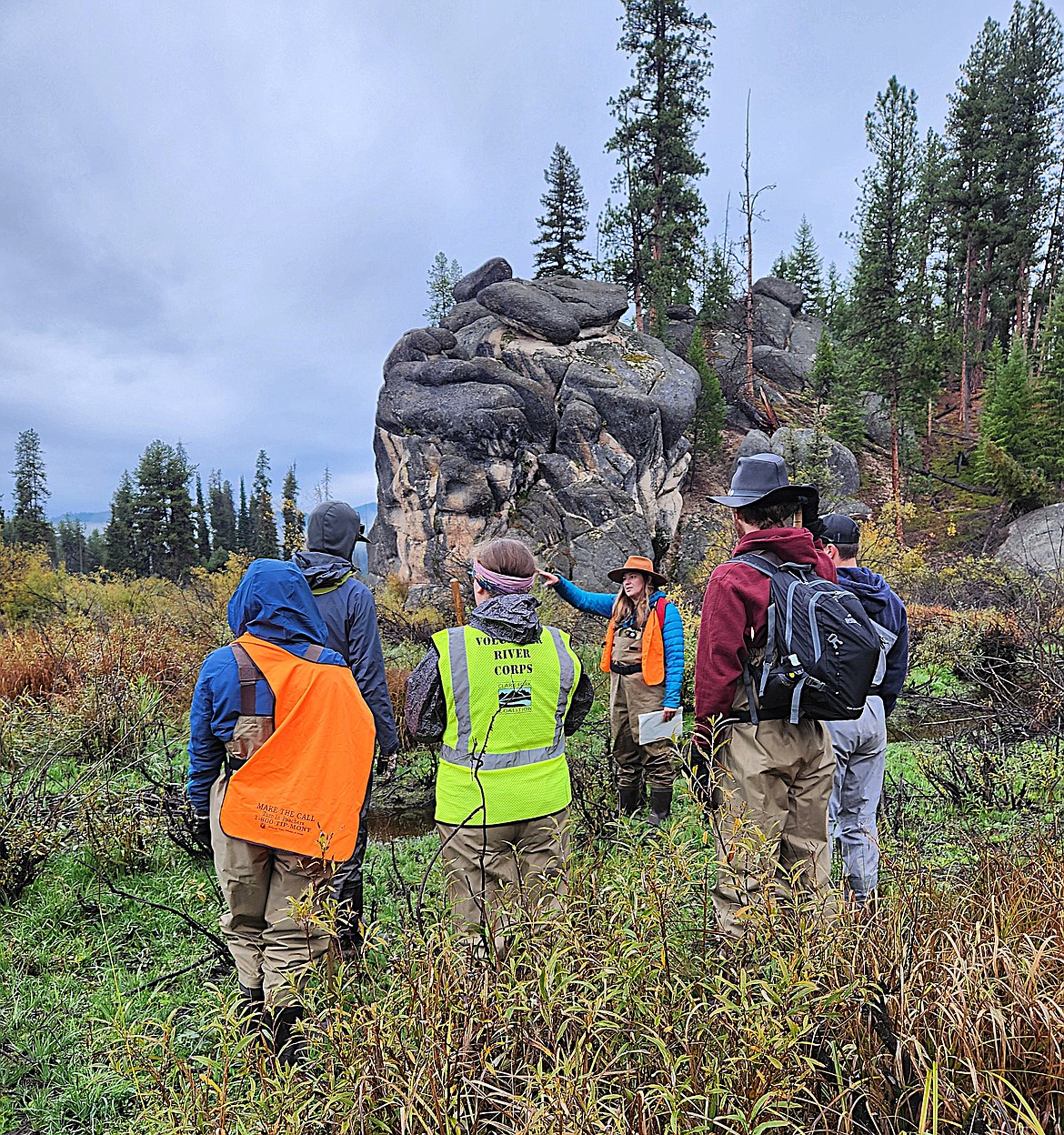Clark Fork Coalition Community Manager Lily Haines guides a group of volunteers through a marsh near Lee Creek Campground on the first day of the Beaver Blitz on Oct. 4. (Courtesy of Wild Montana/Carmen Murrill)