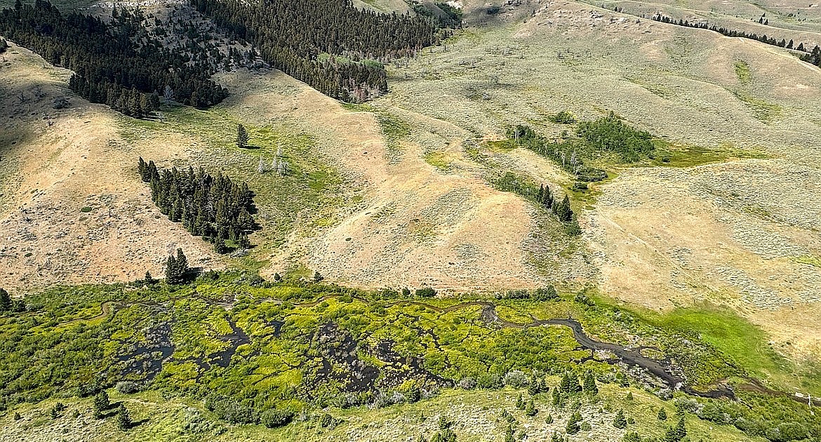 Leave it to the beavers: beaver transplant program promises to engineer new solutions for stream restoration projects