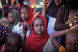 Famine is gripping two regions of war-torn Sudan, a global hunger authority says