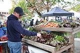 Selkirk-Pend Oreille Food Summit expands with harvest festival