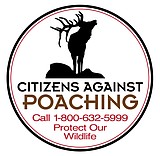 Two-year investigation leads to convictions for wildlife violations